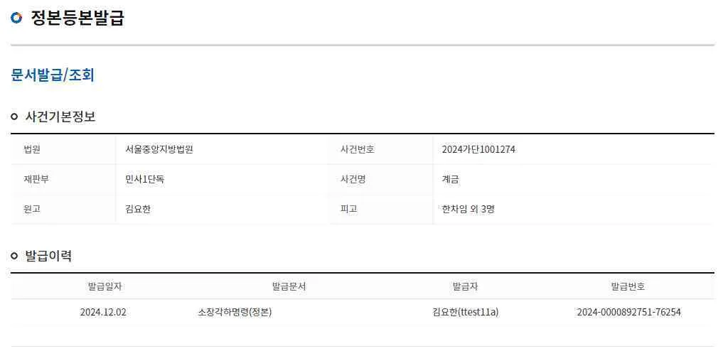 정본등본발급 화면의 발급조회 부분으로, 사건기본정보와 발급일자·발급문서·발급번호가 표시됩니다.