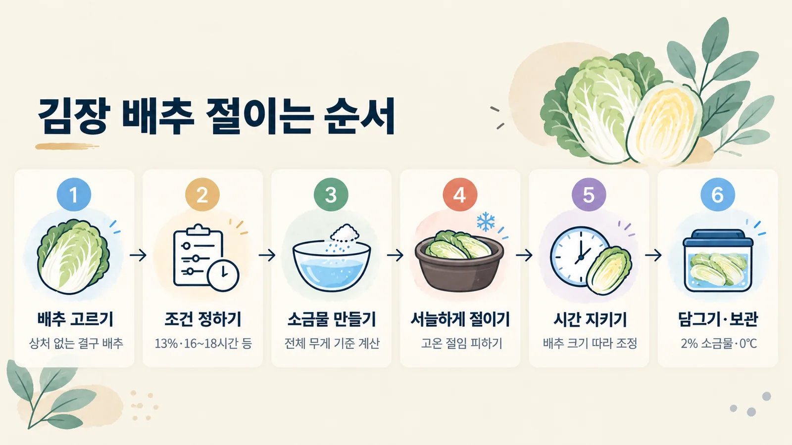 배추 고르기부터 보관까지 김장 배추를 절이는 여섯 단계를 순서대로 보여 주는 그림입니다.