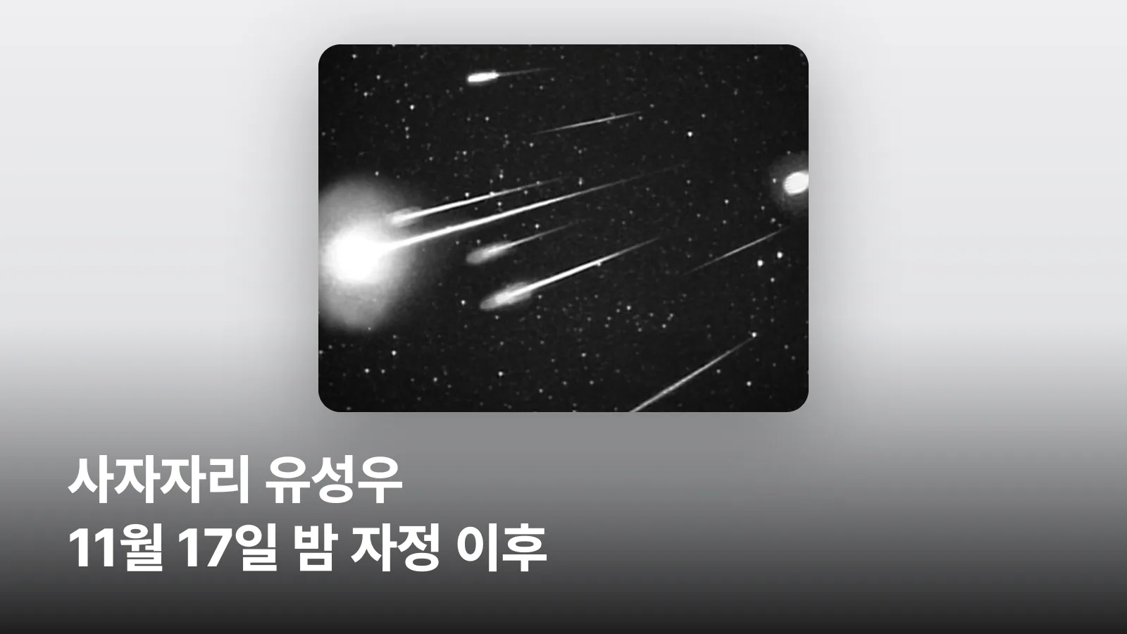 밤하늘을 가로지르는 사자자리 유성우의 유성 사진입니다.