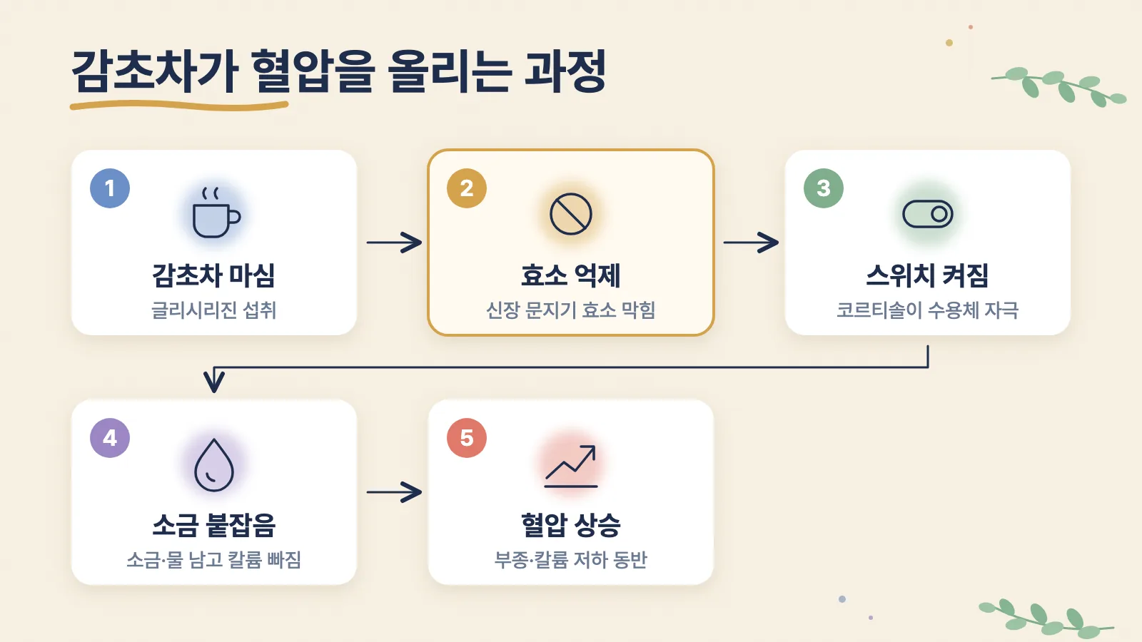 글리시리진이 신장 효소를 막아 소금은 붙잡고 칼륨은 내보내 혈압이 오르는 과정