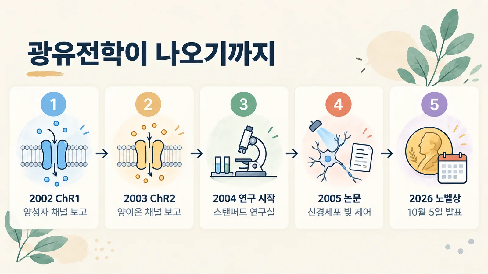 2002년 ChR1 보고부터 2026년 노벨상 발표까지 광유전학 연구 흐름