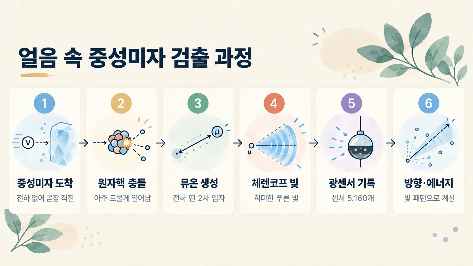얼음 속에서 중성미자가 충돌해 뮤온을 만들고, 체렌코프 빛을 광센서가 기록해 방향과 에너지를 계산하는 6단계
